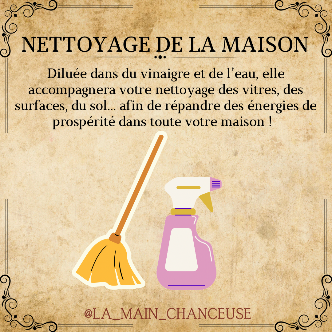 Eau de Floride (recette de mama Marge)