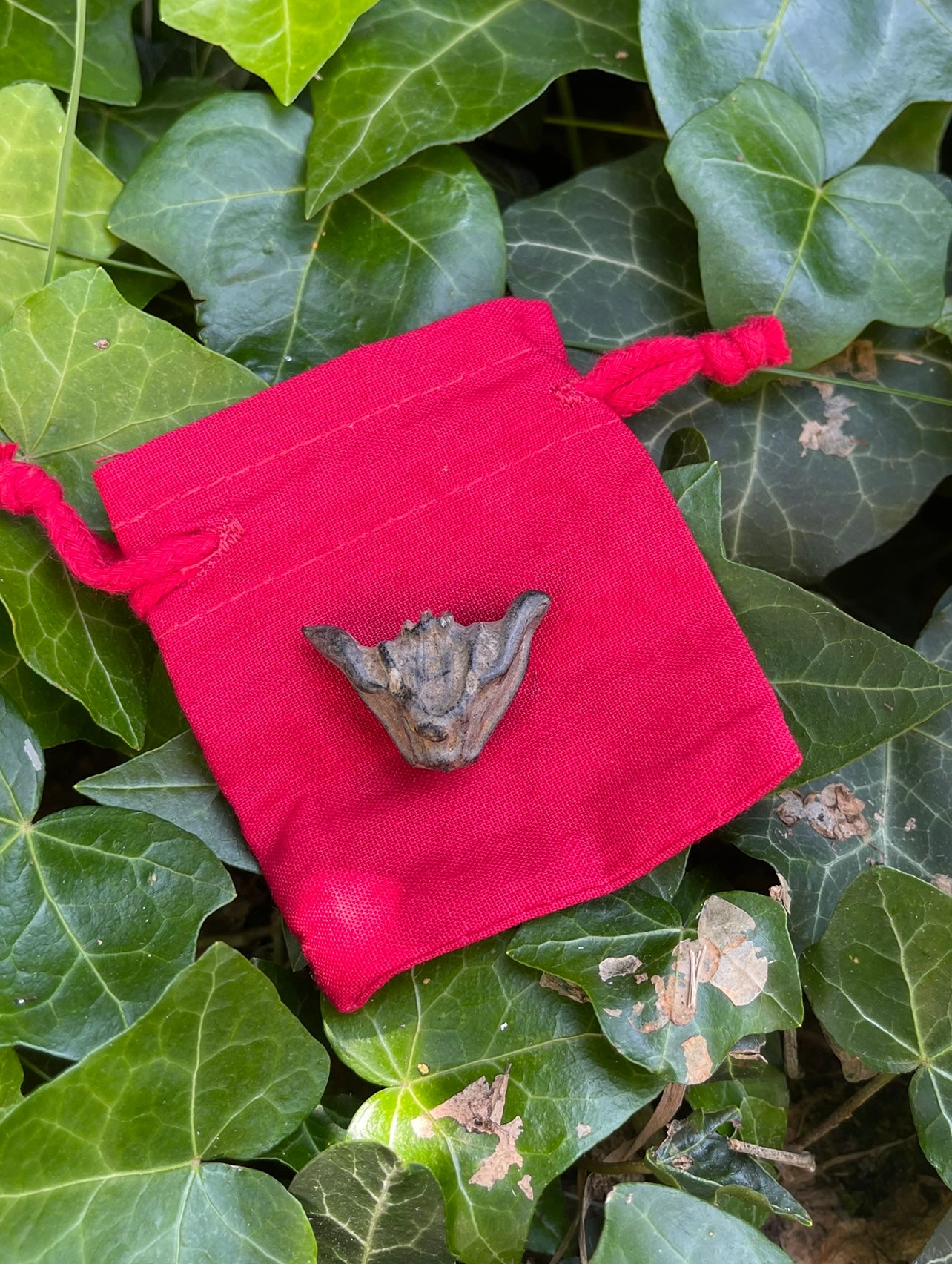 Amulette graine du diable (protection personnelle)